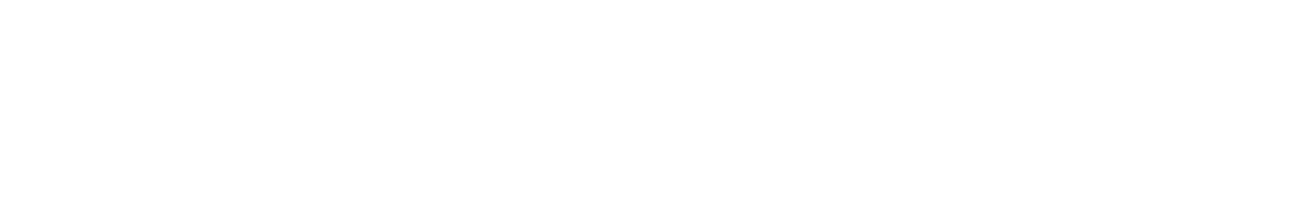 Pillometer logo